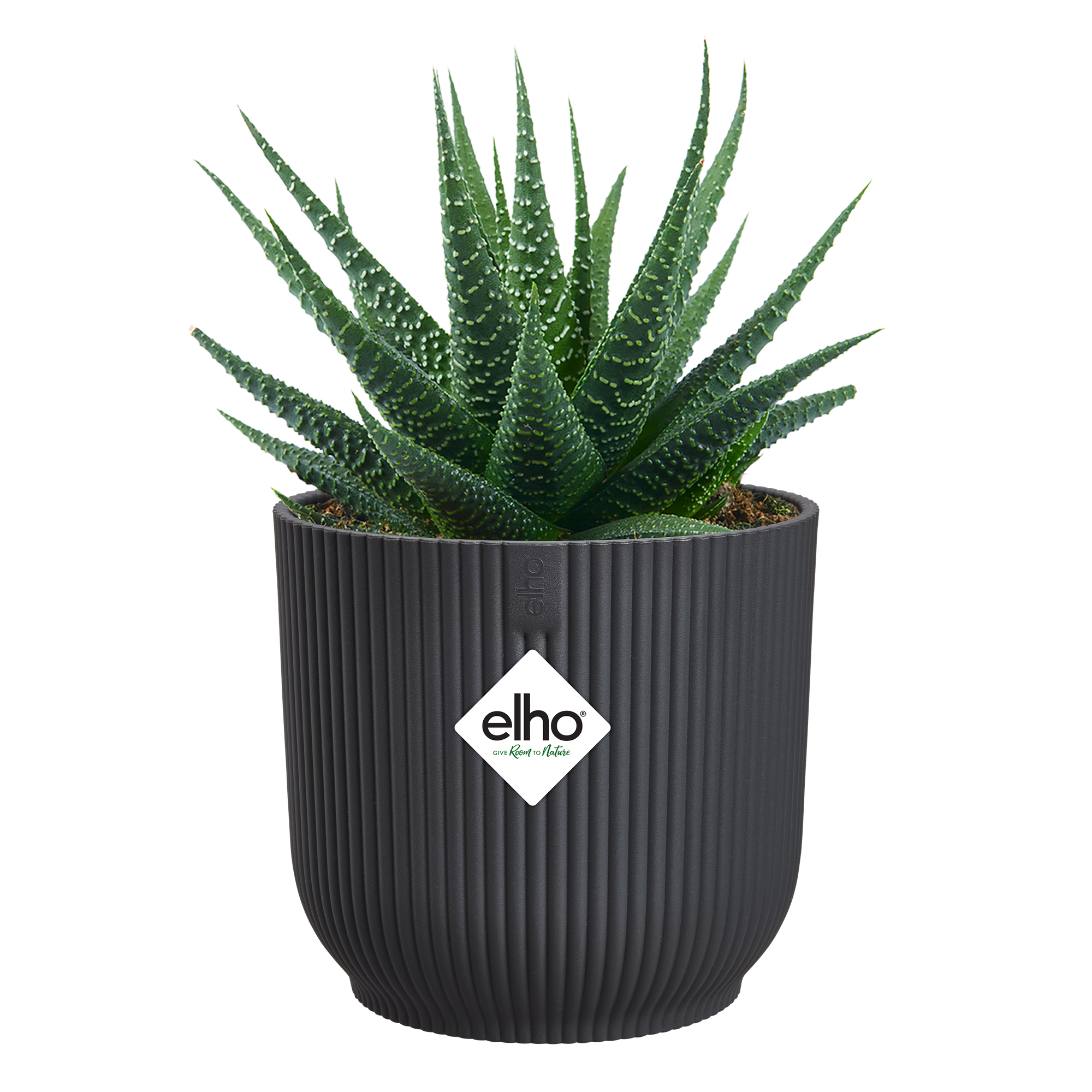 vibes fold round mini 7cm anthracite - elho® - Give room to nature